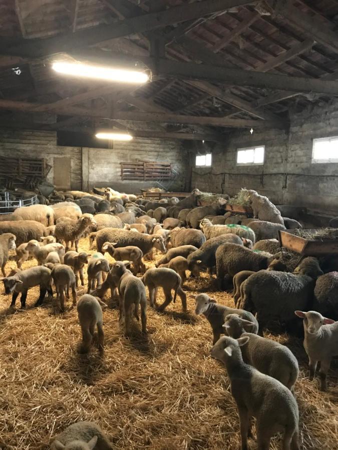 Studio A La Ferme Villa Arles Eksteriør bilde