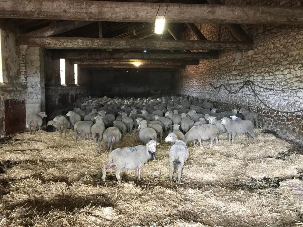 Studio A La Ferme Villa Arles Eksteriør bilde